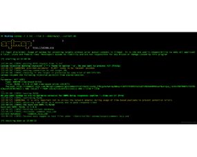 互聯網安全防護 從黑客技術到專業開發的視角